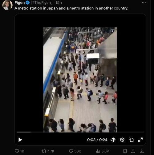 日本69视频jzjzz,JZJZZ背后的故事与影响