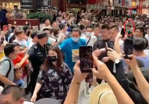 排场视频,一场视觉盛宴的精彩回顾