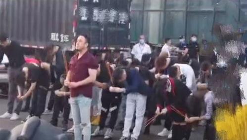 排场视频,一场视觉盛宴的精彩回顾