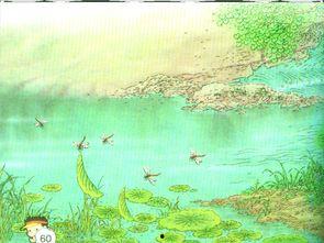 古诗小池视频,古韵视频中的自然画卷