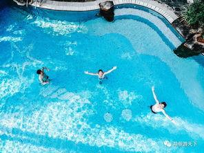 青蛙游水视频,一场自然界的优雅演绎