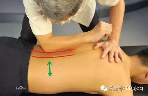 胸推的手法视频教程,轻松掌握专业健身技巧