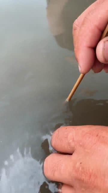 钓虾技巧视频,视频解析钓虾技巧全攻略