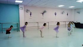 幼儿小班舞蹈教学视频,欢快童趣，启蒙舞动时光