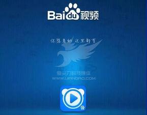 美b视频,揭秘热门内容背后的故事