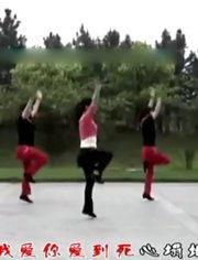 中年舞蹈教学视频现代舞,中年舞蹈教学视频解析