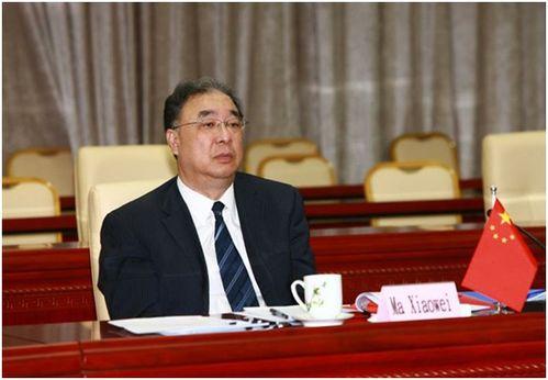 马晓伟视频,揭秘成功之道